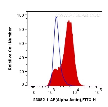 Flow cytometry (FC) experiment of C2C12 cells using Alpha Actin Polyclonal antibody (23082-1-AP)