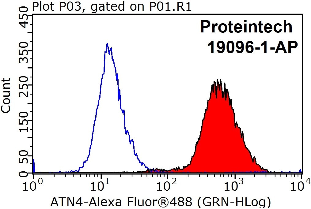 Flow cytometry (FC) experiment of HeLa cells using ACTN4 Polyclonal antibody (19096-1-AP)