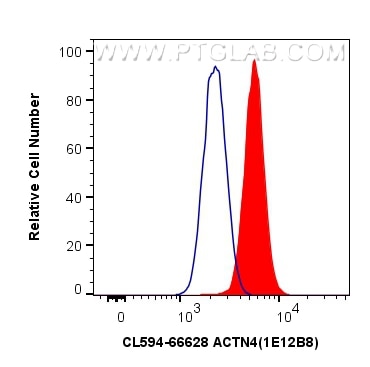 Flow cytometry (FC) experiment of HeLa cells using CoraLite®594-conjugated ACTN4 Monoclonal antibody (CL594-66628)