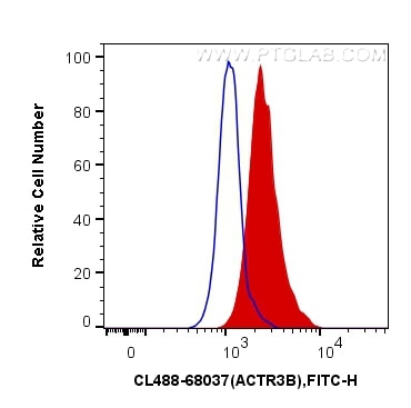 Flow cytometry (FC) experiment of Jurkat cells using CoraLite® Plus 488-conjugated ACTR3B Monoclonal an (CL488-68037)