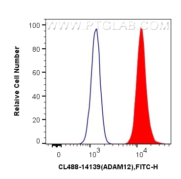 Flow cytometry (FC) experiment of HeLa cells using CoraLite® Plus 488-conjugated ADAM12 Polyclonal an (CL488-14139)