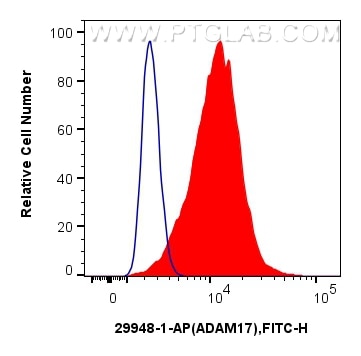 Flow cytometry (FC) experiment of HCT 116 cells using ADAM17 Polyclonal antibody (29948-1-AP)