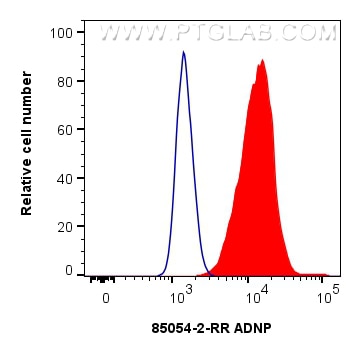 Flow cytometry (FC) experiment of HeLa cells using ADNP Recombinant antibody (85054-2-RR)