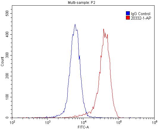 Adenosine A1 Receptor