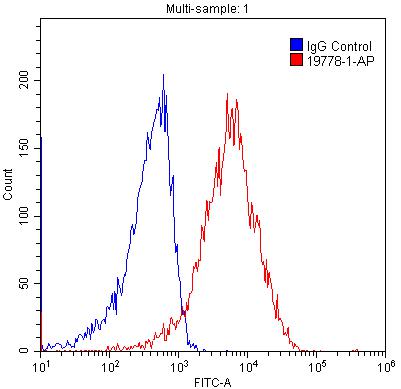 Flow cytometry (FC) experiment of HEK-293 cells using ADRA2B-Specific Polyclonal antibody (19778-1-AP)