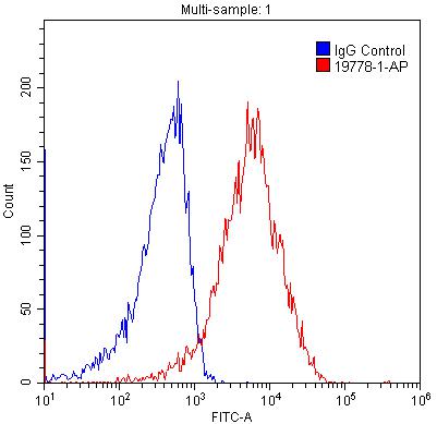 FC experiment of HEK-293 using 19778-1-AP