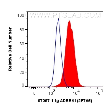 Flow cytometry (FC) experiment of HeLa cells using ADRBK1 Monoclonal antibody (67067-1-Ig)