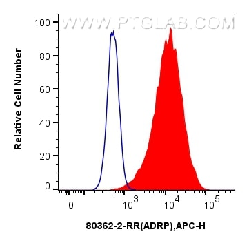 FC experiment of HepG2 using 80362-2-RR