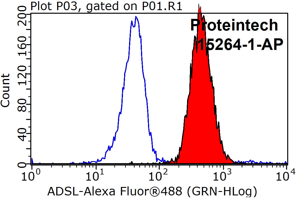 Flow cytometry (FC) experiment of HeLa cells using Adenylosuccinate lyase Polyclonal antibody (15264-1-AP)