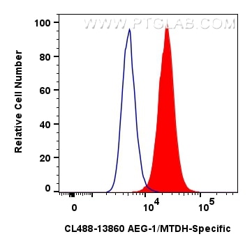Flow cytometry (FC) experiment of HeLa cells using CoraLite® Plus 488-conjugated AEG-1/MTDH-Specific  (CL488-13860)