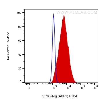 Flow cytometry (FC) experiment of HT-29 cells using AGR2 Monoclonal antibody (66768-1-Ig)