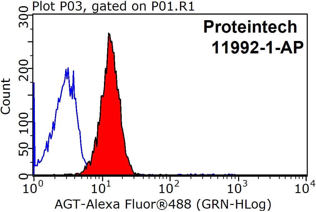 Flow cytometry (FC) experiment of HeLa cells using Angiotensinogen Polyclonal antibody (11992-1-AP)