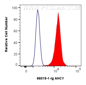 Flow cytometry (FC) experiment of HeLa cells using AHCY Monoclonal antibody (66019-1-Ig)