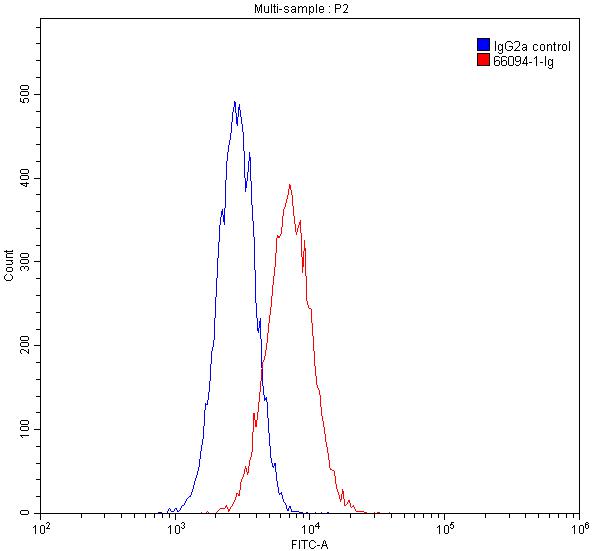 Flow cytometry (FC) experiment of HepG2 cells using Fetuin-A Monoclonal antibody (66094-1-Ig)