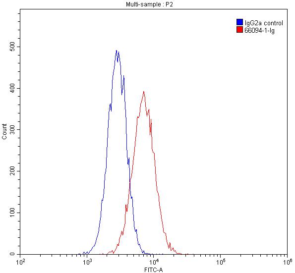 FC experiment of HepG2 using 66094-1-Ig