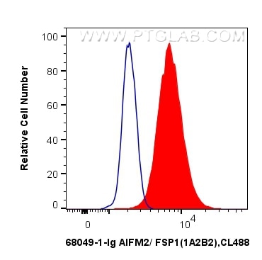 Flow cytometry (FC) experiment of K-562 cells using AIFM2/ FSP1 Monoclonal antibody (68049-1-Ig)