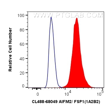 Flow cytometry (FC) experiment of K-562 cells using CoraLite® Plus 488-conjugated AIFM2/ FSP1 Monoclon (CL488-68049)