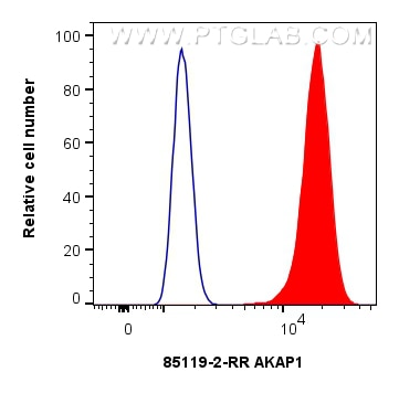 Flow cytometry (FC) experiment of HEK-293T cells using AKAP1 Recombinant antibody (85119-2-RR)