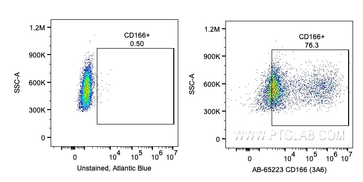 Flow cytometry (FC) experiment of human PBMCs using Atlantic Blue™ Anti-Human ALCAM (3A6) (AB-65223)