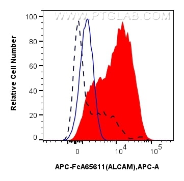 ALCAM