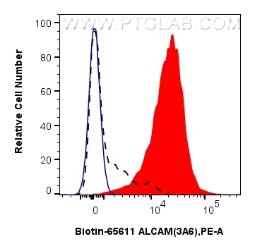 1x10^6 PHA-treated human PBMCs were surface stained with 0.25 ug Biotin Anti-Human ALCAM (3A6) Mouse IgG2a RecAb (Biotin-65611, Clone: 3A6) (red) or unstained (blue), and Streptavidin-PE Conjugate (PE-PF00030). 1x10^6 untreated human PBMCs were surface stained with 0.25 ug Biotin Anti-Human ALCAM (3A6) Mouse IgG2a RecAb (Biotin-65611, Clone:3A6) and Streptavidin-PE Conjugate (PE-PF00030) (black, dashed). Cells were not fixed. Flow cytometry (FC) experiment of human PBMCs using Biotin Anti-Human ALCAM (3A6) Mouse IgG2a Recombin (Biotin-65611)
