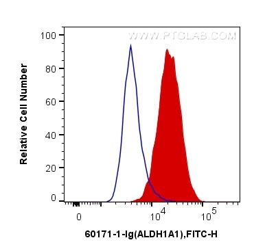 Flow cytometry (FC) experiment of HepG2 cells using ALDH1A1 Monoclonal antibody (60171-1-Ig)