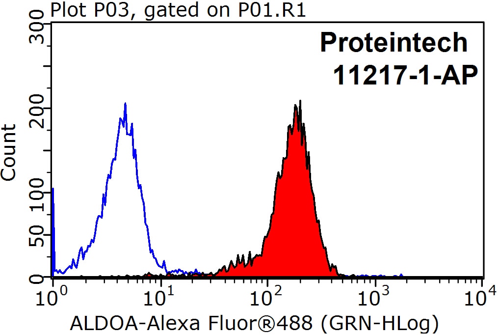 Flow cytometry (FC) experiment of HeLa cells using ALDOA Polyclonal antibody (11217-1-AP)