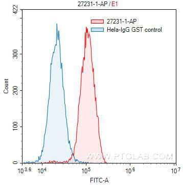 FC experiment of HeLa using 27231-1-AP