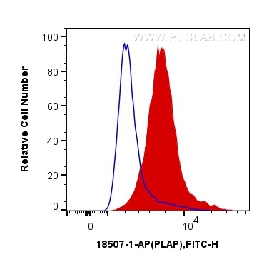 Flow cytometry (FC) experiment of HepG2 cells using PLAP Polyclonal antibody (18507-1-AP)