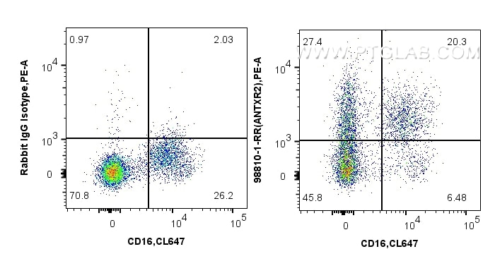 FC experiment of human PBMCs using 98810-1-RR (same clone as 98810-1-PBS) Flow cytometry (FC) experiment of human PBMCs using Anti-Human ANTXR2 Rabbit Recombinant Antibody (98810-1-RR)