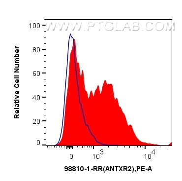 FC experiment of human PBMCs using 98810-1-RR (same clone as 98810-1-PBS) Flow cytometry (FC) experiment of human PBMCs using Anti-Human ANTXR2 Rabbit Recombinant Antibody (98810-1-RR)
