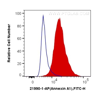 Flow cytometry (FC) experiment of NIH/3T3 cells using Annexin A1 Polyclonal antibody (21990-1-AP)