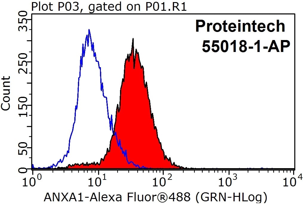 Flow cytometry (FC) experiment of HeLa cells using Annexin A1 Polyclonal antibody (55018-1-AP)
