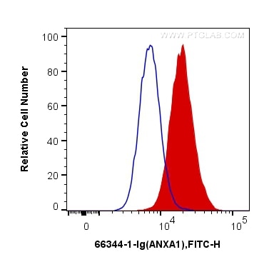 Flow cytometry (FC) experiment of K-562 cells using Annexin A1 Monoclonal antibody (66344-1-Ig)