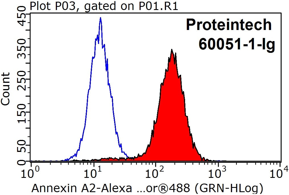 Flow cytometry (FC) experiment of HeLa cells using Annexin A2 Monoclonal antibody (60051-1-Ig)