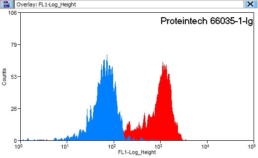 Flow cytometry (FC) experiment of K-562 cells using Annexin A2 Monoclonal antibody (66035-1-Ig)
