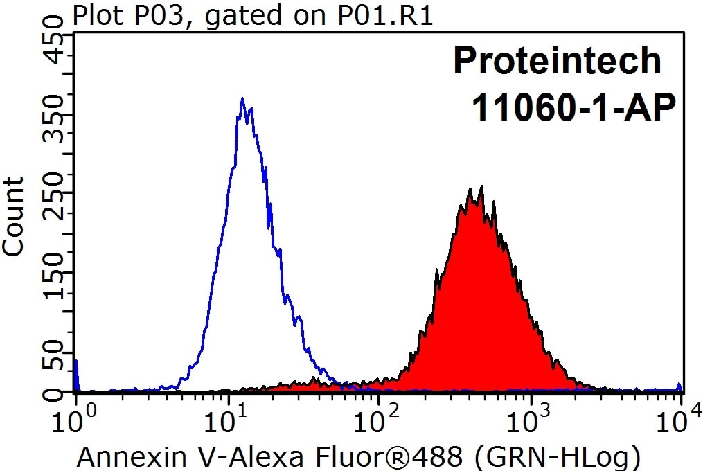 Annexin V