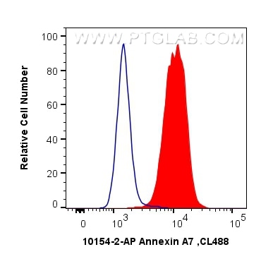 Flow cytometry (FC) experiment of SH-SY5Y cells using Annexin A7  Polyclonal antibody (10154-2-AP)