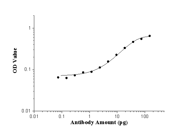 ELISA experiment of peptide using AP repeat Polyclonal antibody (24493-1-AP)