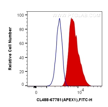 Flow cytometry (FC) experiment of NIH/3T3 cells using CoraLite® Plus 488-conjugated APEX1 Monoclonal ant (CL488-67781)