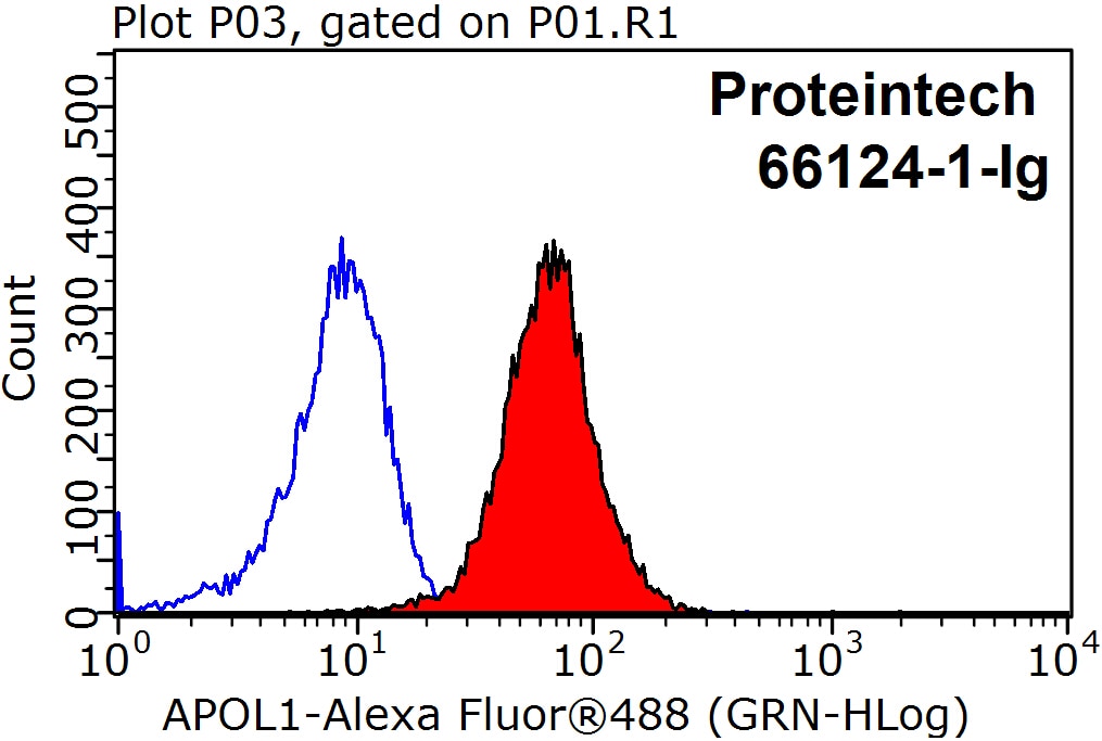 Flow cytometry (FC) experiment of HepG2 cells using APOL1-Specific Monoclonal antibody (66124-1-Ig)