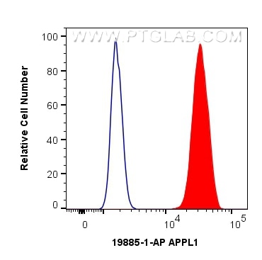 Flow cytometry (FC) experiment of HepG2 cells using APPL1 Polyclonal antibody (19885-1-AP)