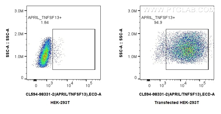 FC experiment of Transfected HEK-293T using CL594-98331-2 Flow cytometry (FC) experiment of Transfected HEK-293T cells using CoraLite®594 Anti-Mouse APRIL/TNFSF13 Rabbit Recom (CL594-98331-2)