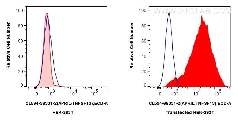 FC experiment of Transfected HEK-293T using CL594-98331-2 Flow cytometry (FC) experiment of Transfected HEK-293T cells using CoraLite®594 Anti-Mouse APRIL/TNFSF13 Rabbit Recom (CL594-98331-2)