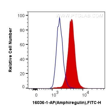 Flow cytometry (FC) experiment of HeLa cells using Amphiregulin Polyclonal antibody (16036-1-AP)