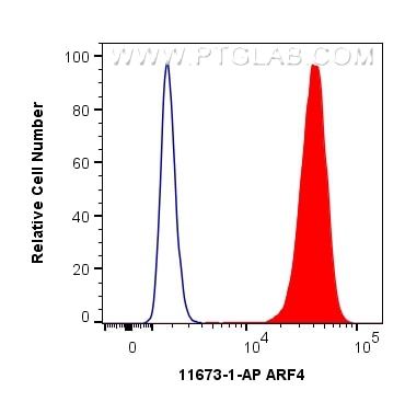 Flow cytometry (FC) experiment of K-562 cells using ARF4 Polyclonal antibody (11673-1-AP)
