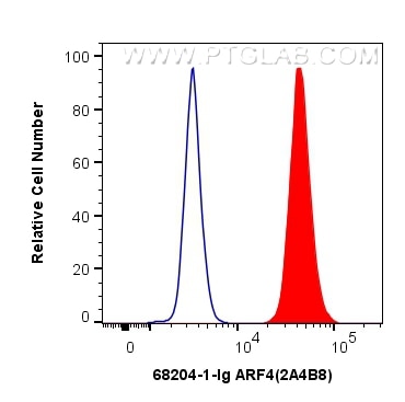 Flow cytometry (FC) experiment of K-562 cells using ARF4 Monoclonal antibody (68204-1-Ig)