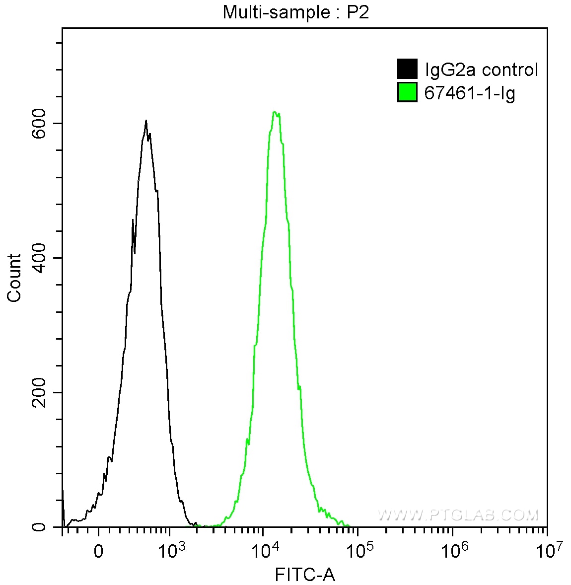 FC experiment of Jurkat using 67461-1-Ig