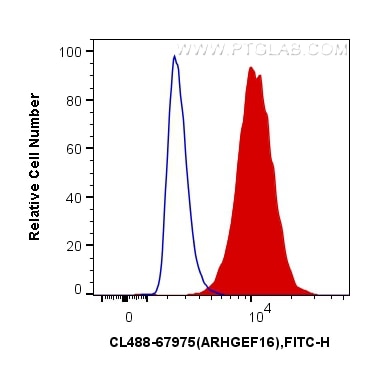 Flow cytometry (FC) experiment of MCF-7 cells using CoraLite® Plus 488-conjugated ARHGEF16 Monoclonal  (CL488-67975)