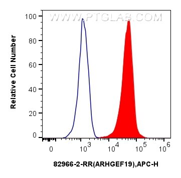 Flow cytometry (FC) experiment of HeLa cells using ARHGEF19 Recombinant antibody (82966-2-RR)